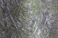 Horcott fibreglass roof work